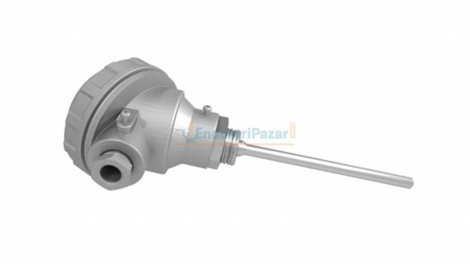 RTKR-M08-L050.2 DALMA BOYU 50MM ÇAP 8MM KAFALI TİP 2*PT-100 AISI316 EMKO