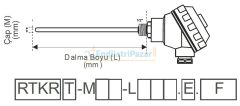 RTKR-M08-L400.2 DALMA BOYU 400MM ÇAP 8MM KAFALI TİP 2*PT-100 AISI316 EMKO