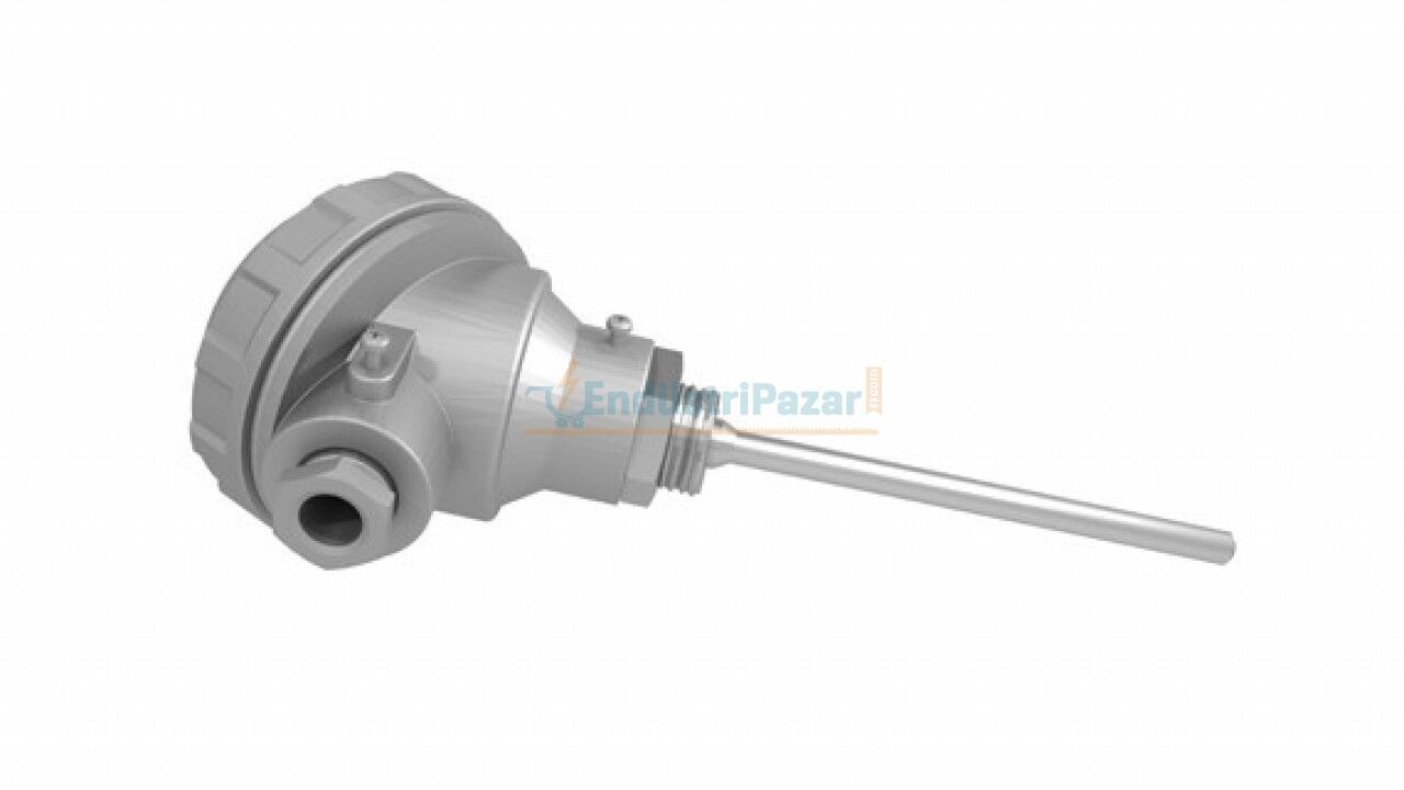 RTKR-M06-L200.1 DALMA BOYU 200MM ÇAP 6MM KAFALI TİP PT-100 AISI304 EMKO