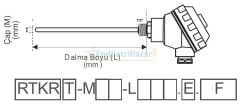 RTKR-M06-L150.1 DALMA BOYU 150MM ÇAP 6MM KAFALI TİP PT-100 AISI316 EMKO