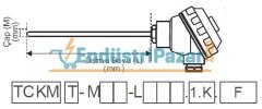 TCKM-M06-L200.1.K DALMA BOYU 200MM ÇAP 6MM K TİPİ SICAKLIK SENSÖRÜ INCONEL600 EMKO