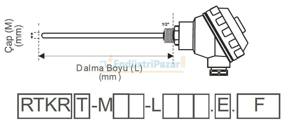RTKR-M08-L250.1 DALMA BOYU 250MM ÇAP 8MM KAFALI TİP PT-100 AISI316 EMKO