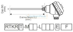 RTKR-M06-L500.2 DALMA BOYU 500MM ÇAP 6MM KAFALI TİP 2*PT-100 AISI316 EMKO