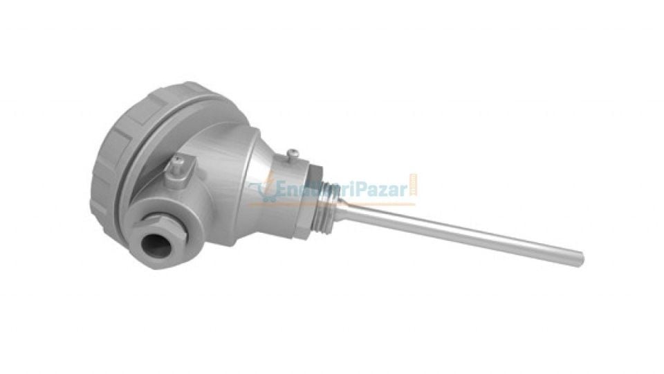 RTKRT-M08-L500.1 DALMA BOYU 500MM ÇAP 8MM KAFALI TİP PT-100 REKORLU TRANSMİTTERLİ AISI316 EMKO