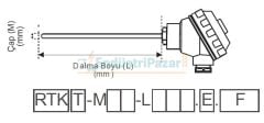 RTK-M06-L150.2 DALMA BOYU 150MM ÇAP 6MM KAFALI TİP 2*PT-100 AISI304 EMKO