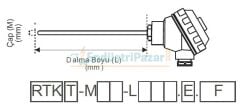 RTK-M08-L050.2 DALMA BOYU 50MM ÇAP 8MM KAFALI TİP 2*PT-100 AISI304 EMKO