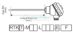 RTK-M06-L050.1 DALMA BOYU 50MM ÇAP 6MM KAFALI TİP PT-100 AISI316 EMKO