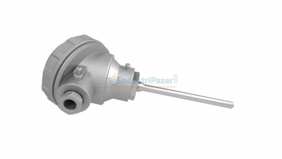 RTKT-M08-L150.1 DALMA BOYU 150MM ÇAP 8MM KAFALI TİP PT-100 TRANSMİTTERLİ AISI304 EMKO