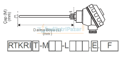 RTKRI-M10-L250.2 DALMA BOYU 250MM ÇAP 10MM KAFALI TİP 2*PT-100 REKORLU İNSETLİ AISI316 EMKO