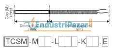 TCSM-M06-L100-K1,5.J 100MM TÜP BOYU ÇAP 6MM 1,5 METRE ÇELİK ÖRGÜ KABLOLU STANDART BAYONET SONDA J TİPİ TERMOKUPL AISI304 EMKO