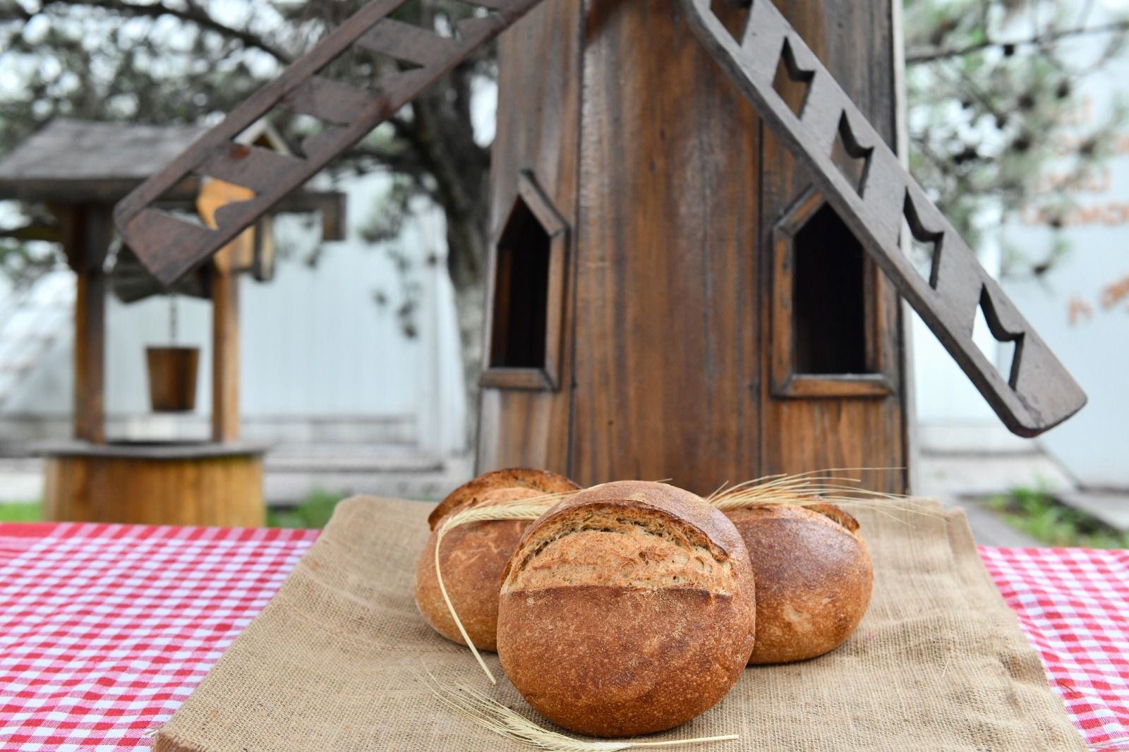 EKŞİ MAYALI TAM BUĞDAY UNLU KÖY EKMEĞİ (400G)