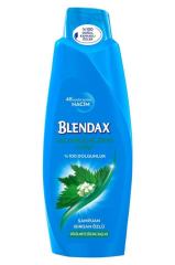 Blendax Isırgan Özlü Şampuan 500 ML