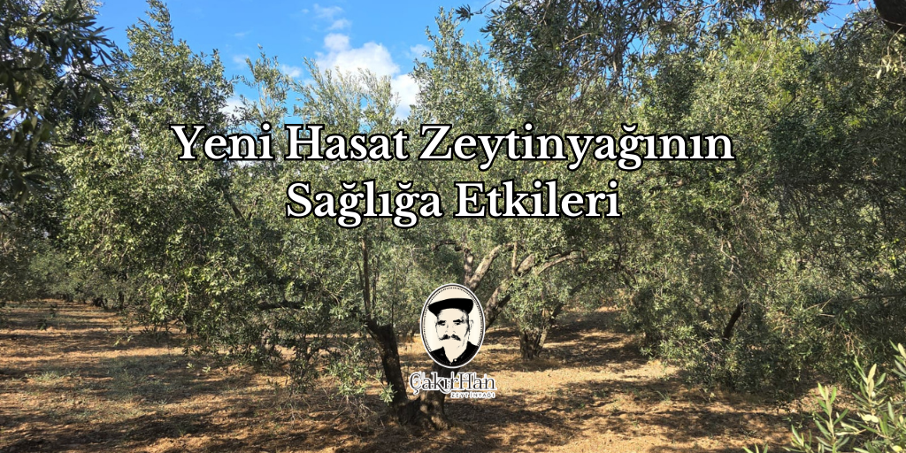 Yeni Hasat Zeytinyağının Sağlığa Etkileri