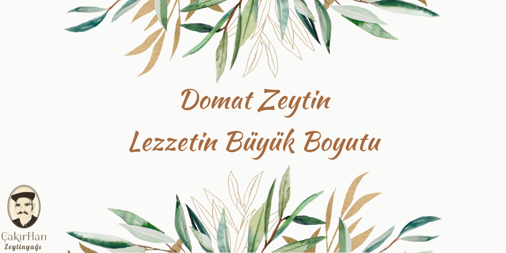 Domat Zeytin: Lezzetin Büyük Boyutu