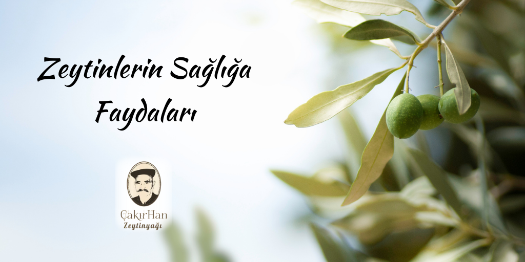 Zeytinin Sağlığa Faydaları