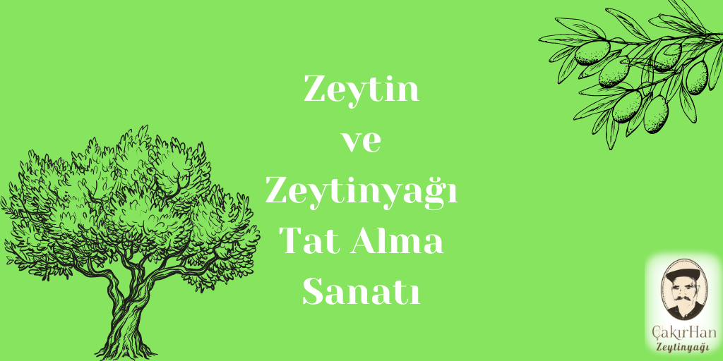 Zeytin ve Zeytinyağı: Tat Alma Sanatı
