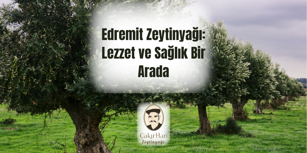 Edremit Zeytinyağı: Lezzet ve Sağlık Bir Arada