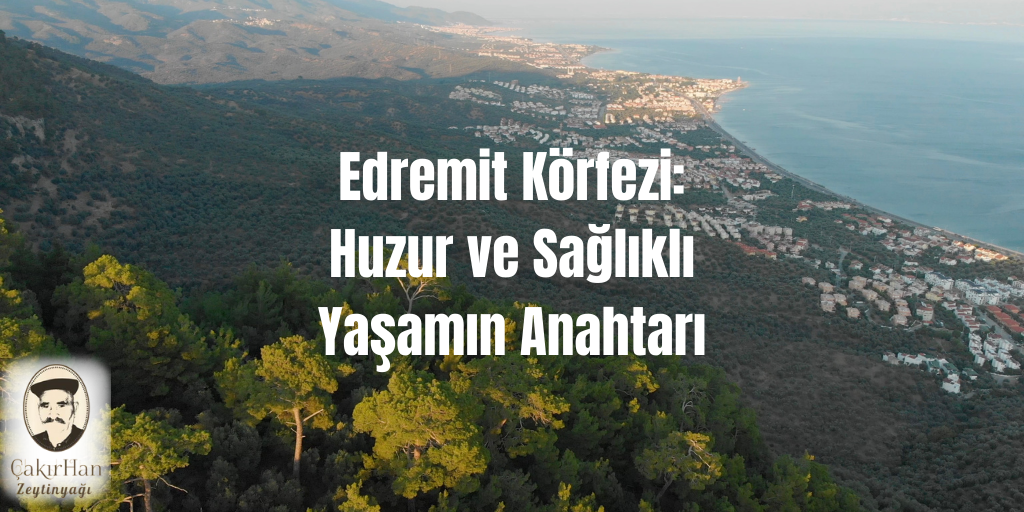 Edremit Körfezi: Huzur ve Sağlıklı Yaşamın Anahtarı