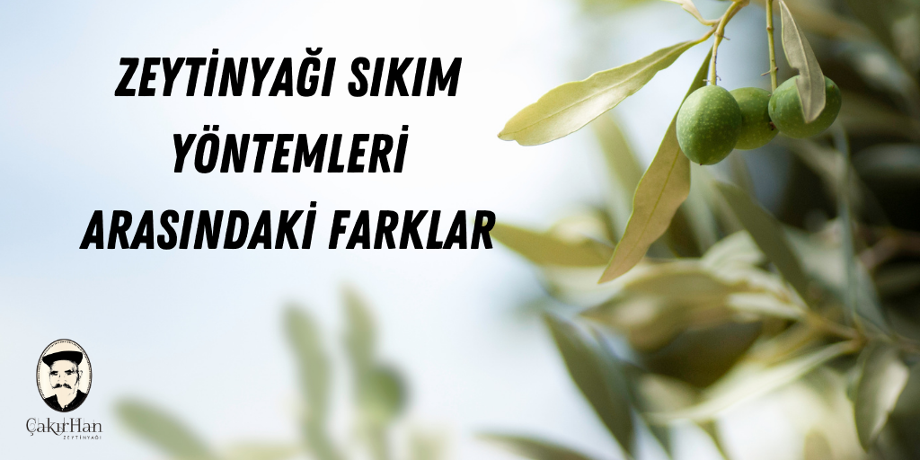 Zeytinyağı Sıkım Yöntemleri Arasındaki Farklar