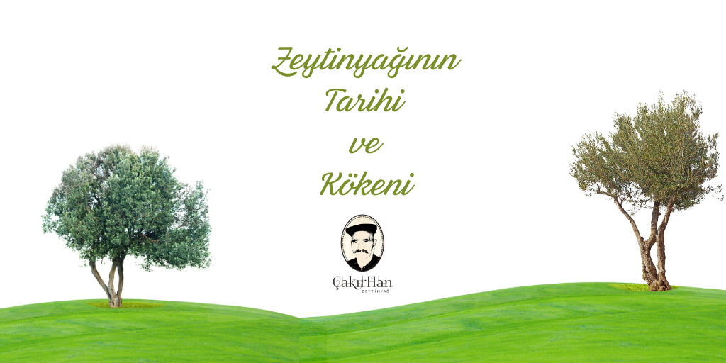 Zeytinyağının Tarihi ve Kökeni