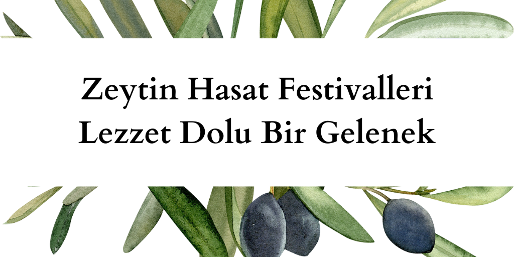 Zeytin Hasat Festivalleri: Lezzet Dolu Bir Gelenek