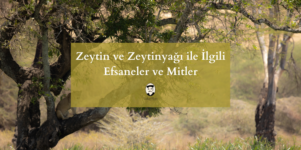 Zeytin ve Zeytinyağı ile İlgili Efsaneler ve Mitler