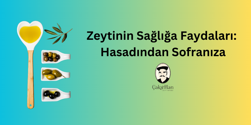 Zeytinin Sağlığa Faydaları: Hasadından Sofranıza