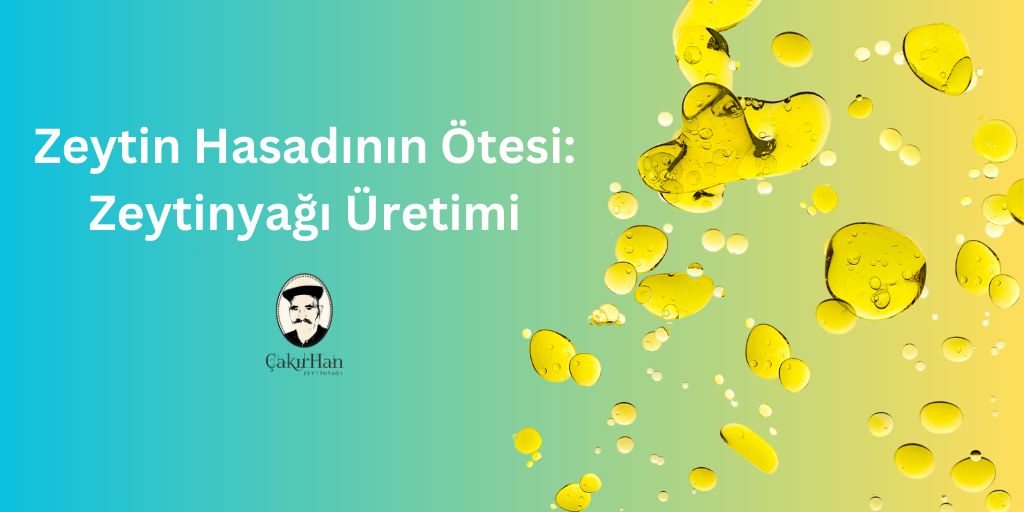 Zeytin Hasadının Ötesi: Zeytinyağı Üretimi