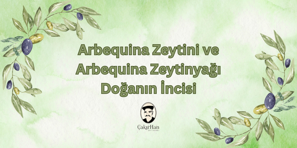 Arbequina Zeytini ve Arbequina Zeytinyağı: Doğanın İncisi