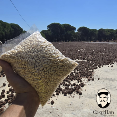 Çakırhan Çam Fıstığı 500 gr