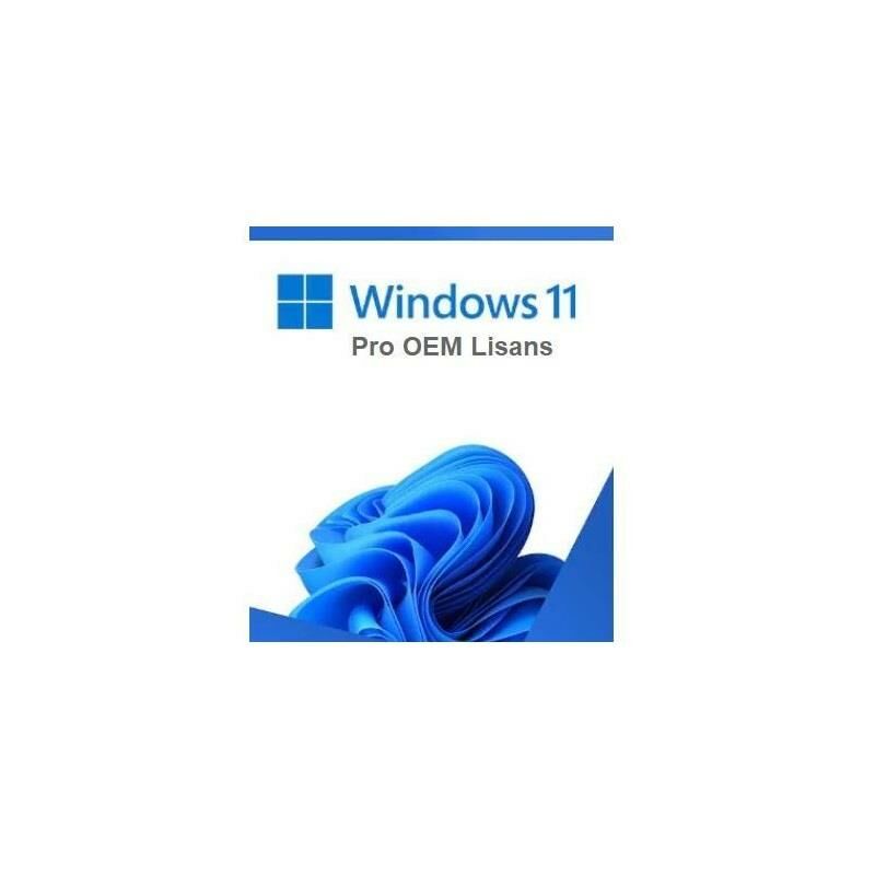 MICROSOFT Windows 11 Pro Türkçe 64Bit FQC-10556 OEM Lisans