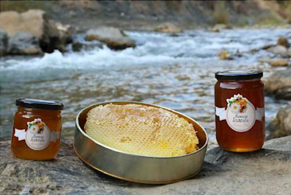 Gurmelerden Honey Leaves Yorumları