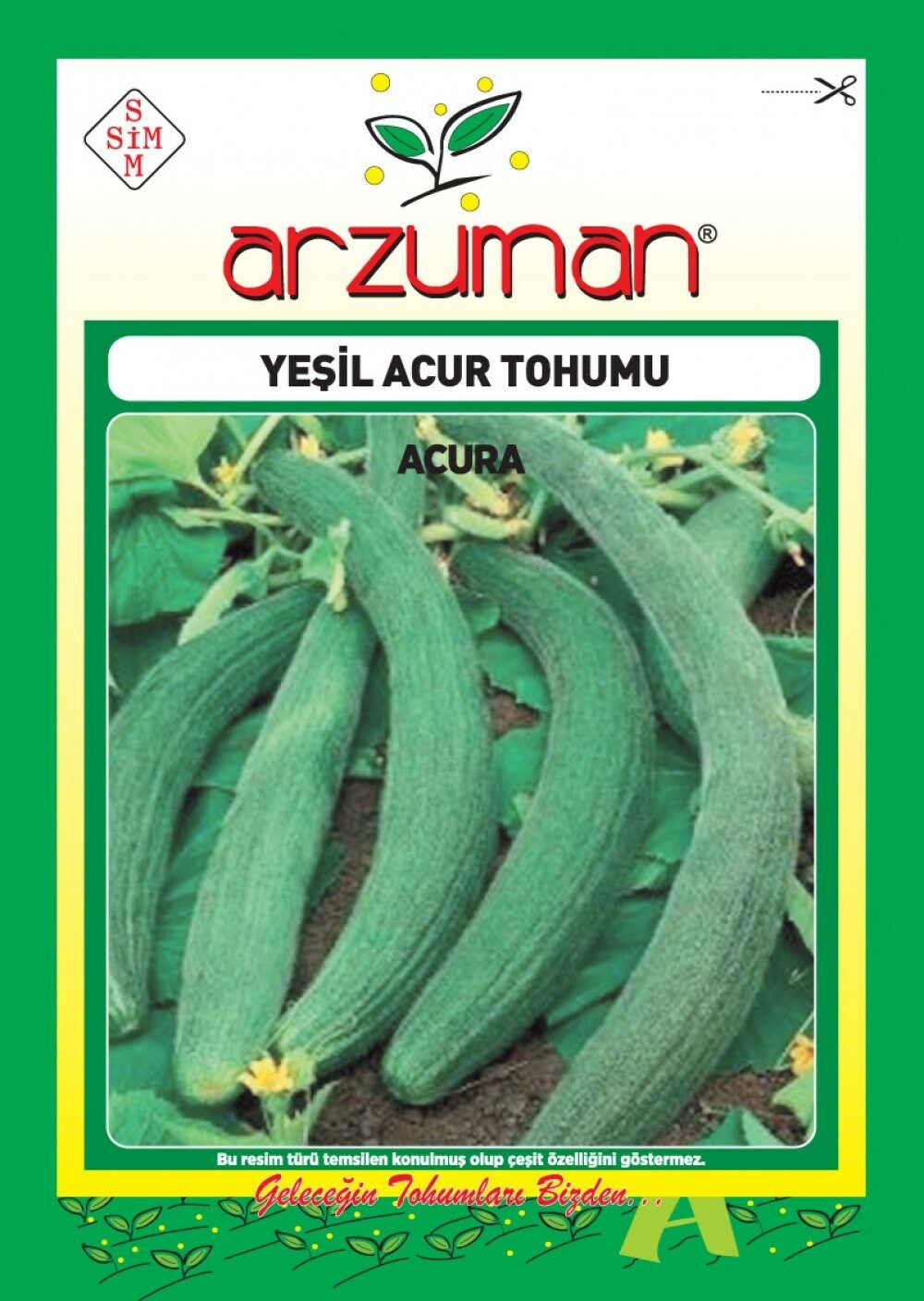Acur Tohumu (10 Gr) Yeşil-Uzun Tip