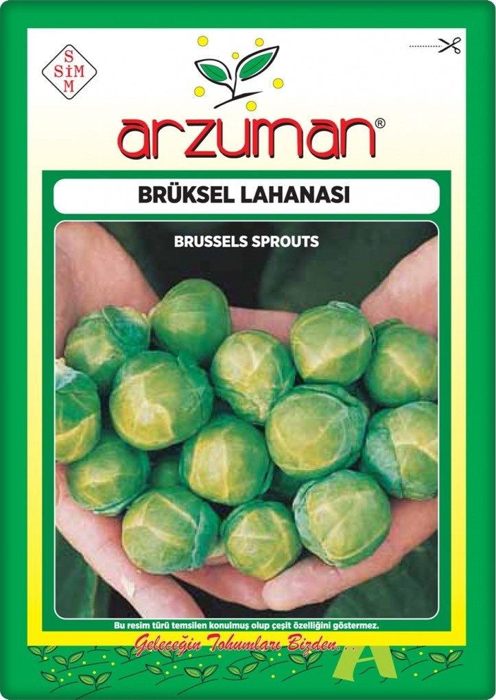 Brüksel Lahanası Tohumu (200 Adet)