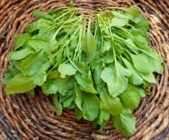 Tere Tohumu (25 Gr) Küçükçiftlik Tohum