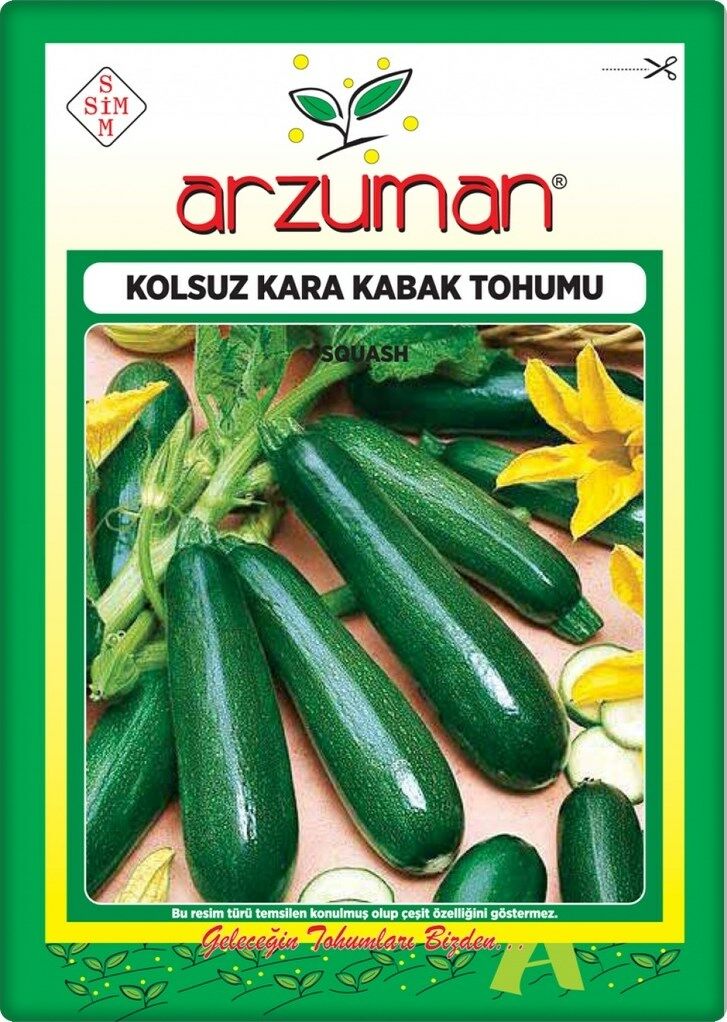 Kabak Tohumu Siyah Kabak (10 Gr) Kolsuz