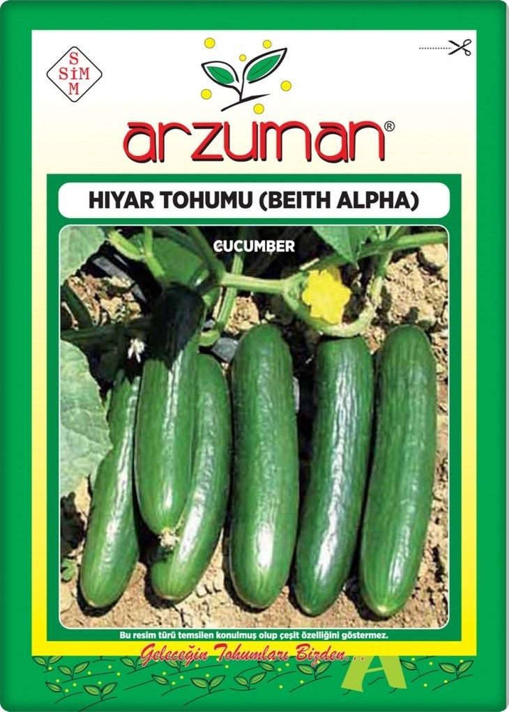 Salatalık Tohumu (10 Gr) Beith Alpha Tipi (Oturak)