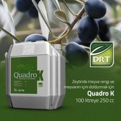 Quadro-K | Potasyum Tiyo Sülfat 20 litre