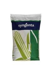 BAMBUS MISIR TOHUMU (50.000 ÇK) SYNGENTA