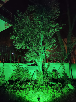 Led Ağaç Bahçe ve Peyzaj Aydınlatma Armatürü 3 Watt