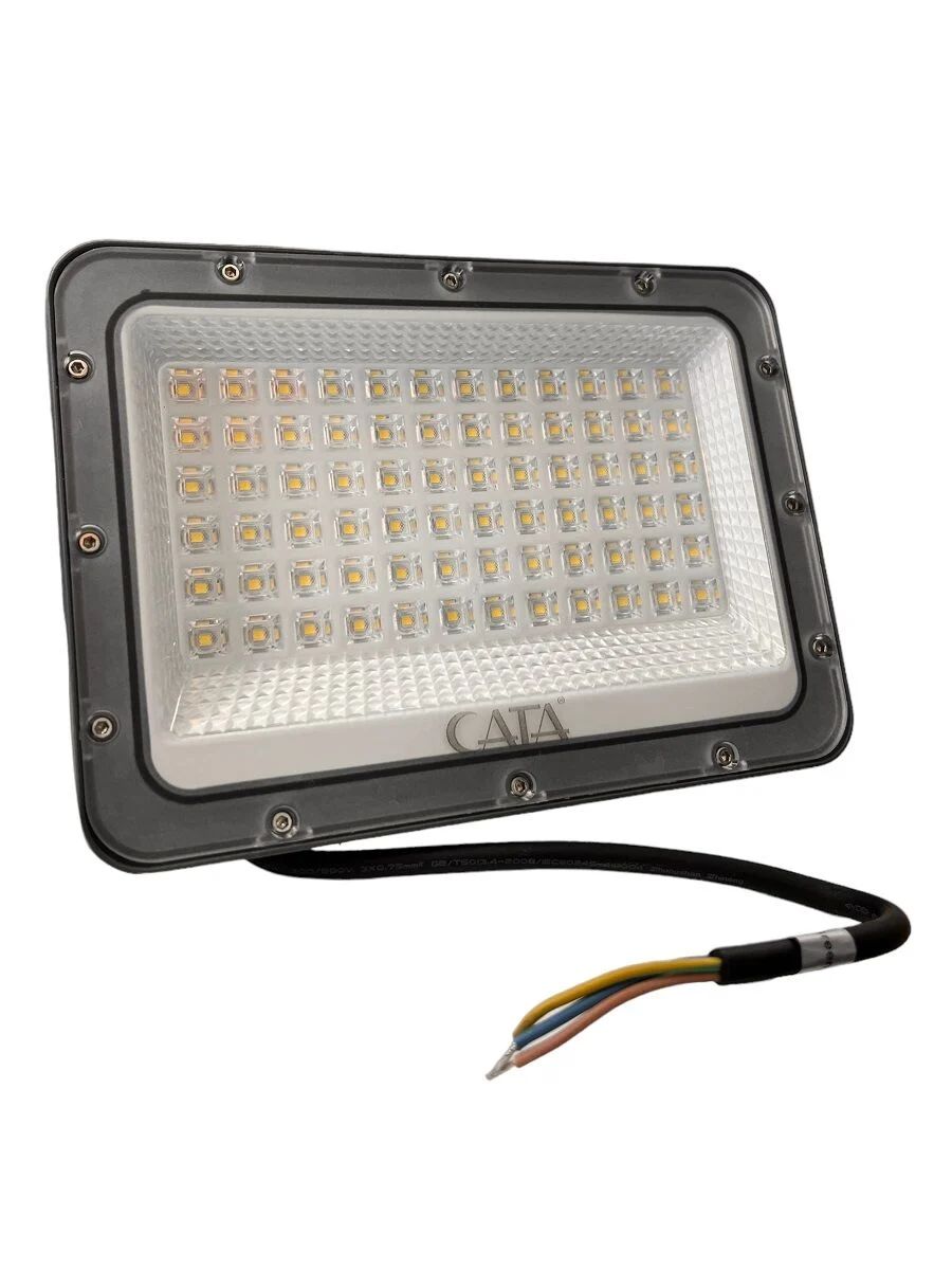 Cata 100W Platinum Led Projektör Aydınlatma CT-4659