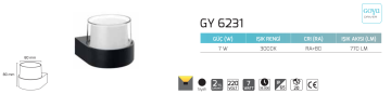 Goya 7W Dış Mekan Dekoratif Led Duvar Aplik Aydınlatma GY 6231