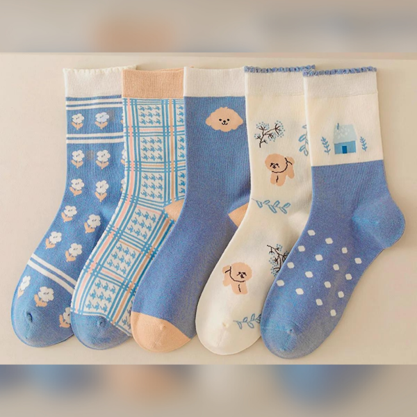 BGK 5'li Desenli Mavi Kadın Çorap