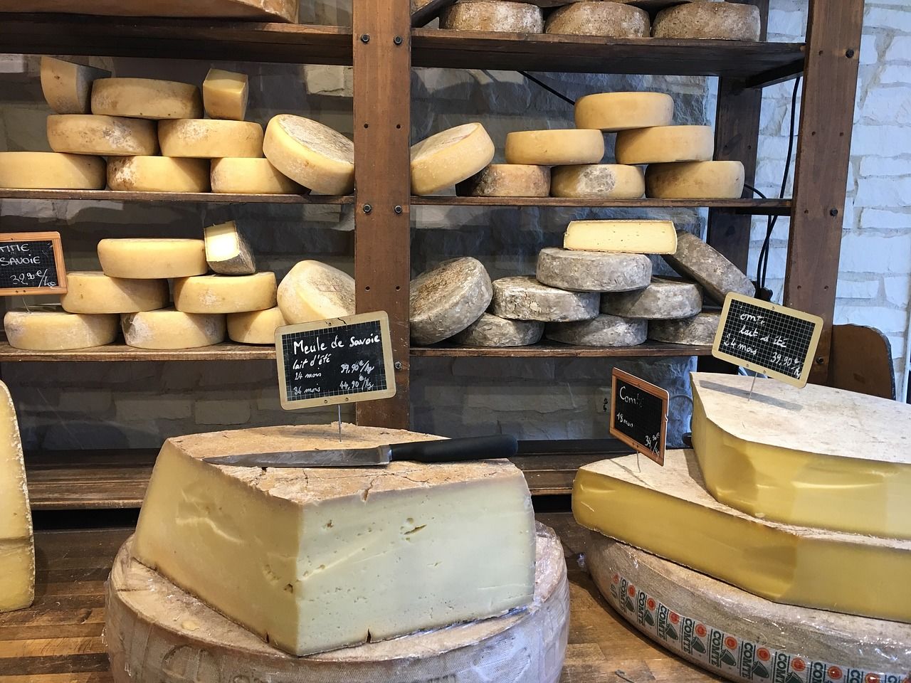 Peynir Ansiklopedisi