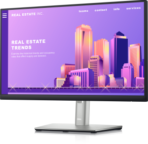 DELL Monitor P2222H
