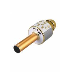 WSTER WS-858 KARAOKE GOLD MİKROFON BLUETOOTH HOPARLÖR AUX- USB MİKRO SD KART GİRİŞLİ MİKROFON