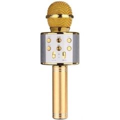 WSTER WS-858 KARAOKE GOLD MİKROFON BLUETOOTH HOPARLÖR AUX- USB MİKRO SD KART GİRİŞLİ MİKROFON