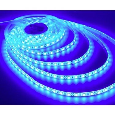 FİLONLİNE 5050 ŞERİT LED 12V 1A 60 LEDLİ 3 ÇİP SİLİKONLU MAVİ ŞERİT LED 5 METRE ŞERİT LED