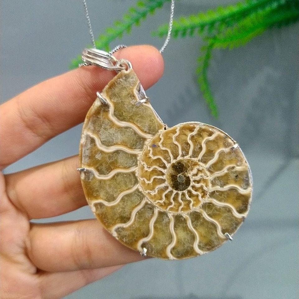 Ammonit Fosili Özel Tasarım Kolye F817