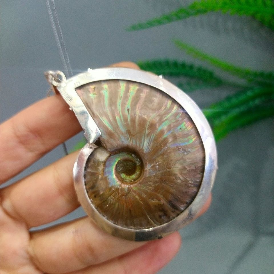 Ammonit Fosili Özel Tasarım Kolye F817
